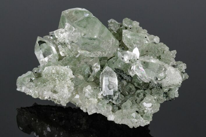 Anatase Crystals on Quartz with Chlorite Inclusions/Phantoms #176820